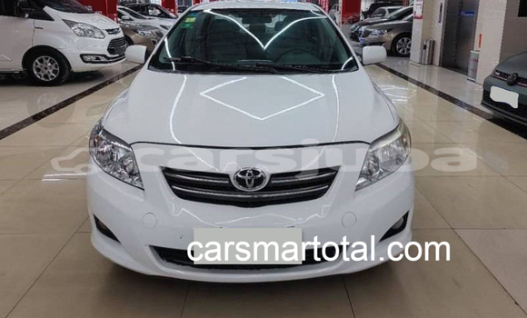 Buy Used Toyota Corolla White Car in Winejok in South Sudan Buy Used Toyota Corolla White Car in Winejok in South Sudan