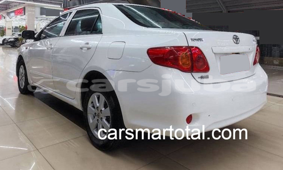 Buy Used Toyota Corolla White Car in Winejok in South Sudan Buy Used Toyota Corolla White Car in Winejok in South Sudan