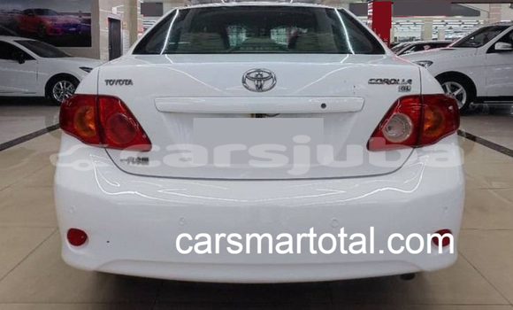 Buy Used Toyota Corolla White Car in Winejok in South Sudan Buy Used Toyota Corolla White Car in Winejok in South Sudan