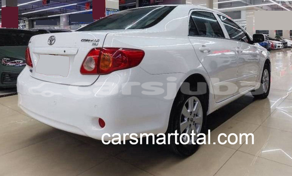 Buy Used Toyota Corolla White Car in Winejok in South Sudan Buy Used Toyota Corolla White Car in Winejok in South Sudan
