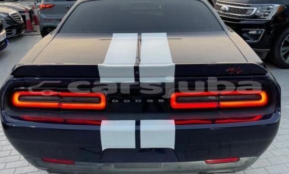 Buy Used Dodge Challenger Black Car in Juba in South Sudan Buy Used Dodge Challenger Black Car in Juba in South Sudan