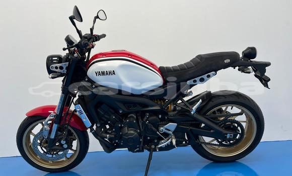 اشتري مستعمل Yamaha XSR Red دراجة نارية في Juba في South Sudan اشتري مستعمل Yamaha XSR Red دراجة نارية في Juba في South Sudan