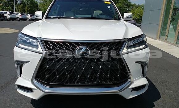 Buy Used Lexus LX 570 White Car in Juba in South Sudan Buy Used Lexus LX 570 White Car in Juba in South Sudan