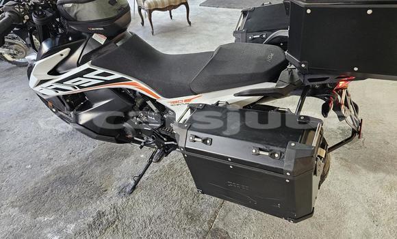 Buy Used KTM ADVENTURE White Bike in Juba in South Sudan Buy Used KTM ADVENTURE White Bike in Juba in South Sudan
