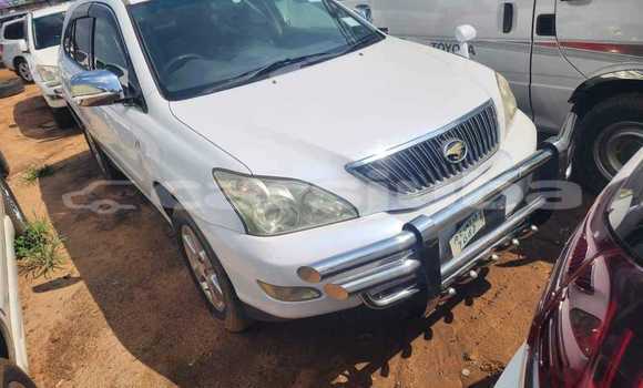 Medium with watermark toyota harrier south sudan pajok 515
