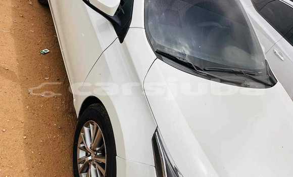 Medium with watermark toyota corolla south sudan pajok 523