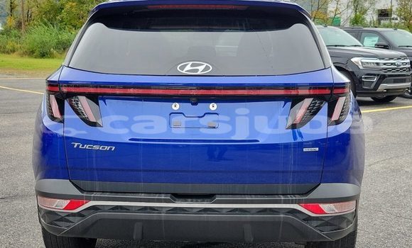 Buy Used Hyundai Tucson Blue Car in Juba in South Sudan Buy Used Hyundai Tucson Blue Car in Juba in South Sudan