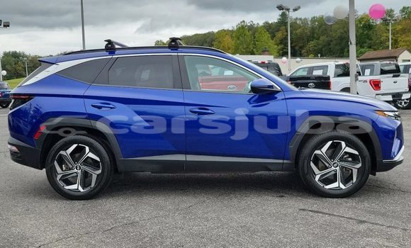Buy Used Hyundai Tucson Blue Car in Juba in South Sudan Buy Used Hyundai Tucson Blue Car in Juba in South Sudan