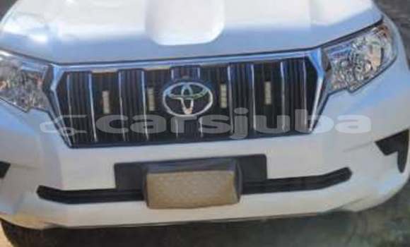 Buy Used Toyota Prado White Car in Juba in South Sudan Buy Used Toyota Prado White Car in Juba in South Sudan