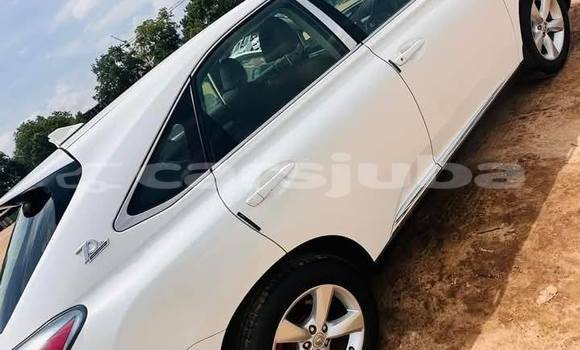 Buy Used Lexus RX White Car in Juba in South Sudan Buy Used Lexus RX White Car in Juba in South Sudan