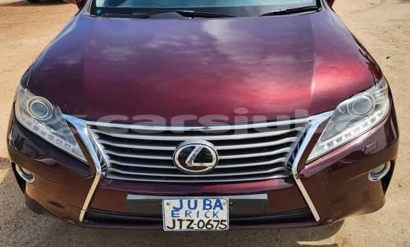Buy Used Lexus RX Red Car in Juba in South Sudan