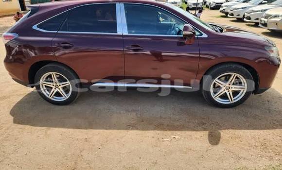 اشتري مستعمل Lexus RX Red سيارة في Juba في South Sudan اشتري مستعمل Lexus RX Red سيارة في Juba في South Sudan