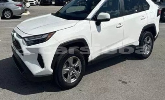 Buy Used Toyota RAV 4 White Car in Malakal in South Sudan
