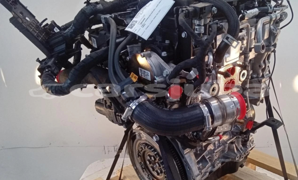 Buy 2021 KIA SPORTAGE 1.6L in Winejok in South Sudan Buy 2021 KIA SPORTAGE 1.6L in Winejok in South Sudan