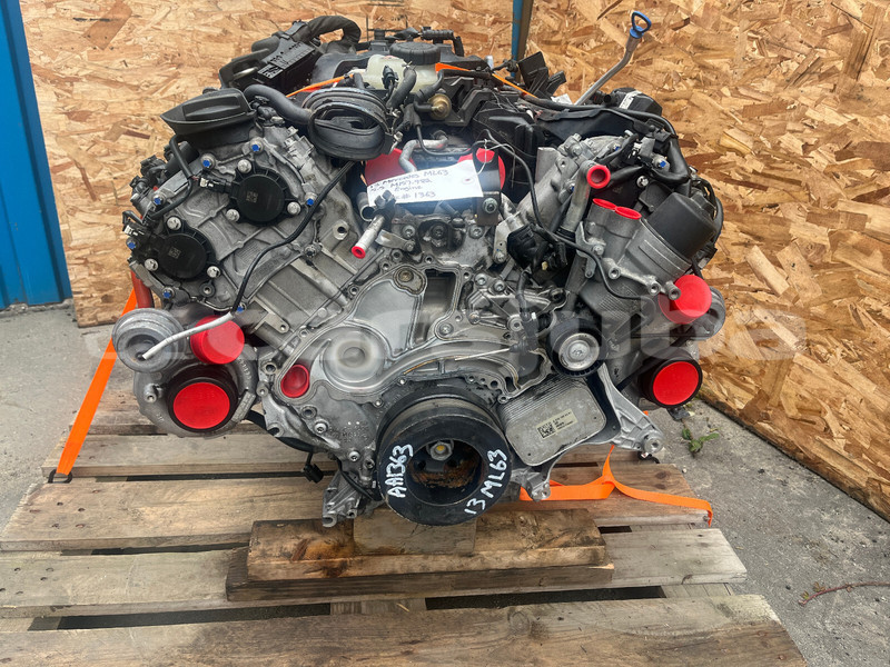 Big with watermark b