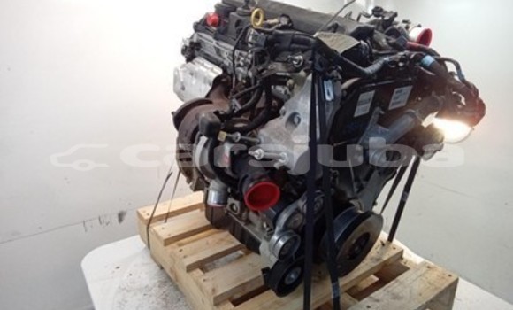 Buy Ford Ranger Engine in Juba in South Sudan Buy Ford Ranger Engine in Juba in South Sudan