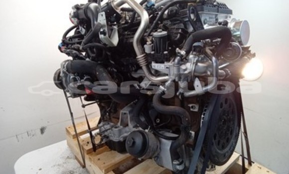 Buy Ford Ranger Engine in Juba in South Sudan Buy Ford Ranger Engine in Juba in South Sudan
