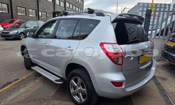 Buy Used Toyota RAV 4 Silver Car in Juba in South Sudan Buy Used Toyota RAV 4 Silver Car in Juba in South Sudan