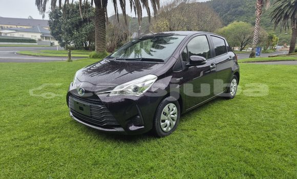 Buy Used Toyota Vitz Black Car in Juba in South Sudan