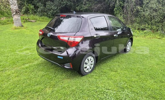 Buy Used Toyota Vitz Black Car in Juba in South Sudan Buy Used Toyota Vitz Black Car in Juba in South Sudan