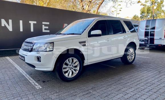 Buy Used Land Rover Freelander White Car in Juba in South Sudan Buy Used Land Rover Freelander White Car in Juba in South Sudan