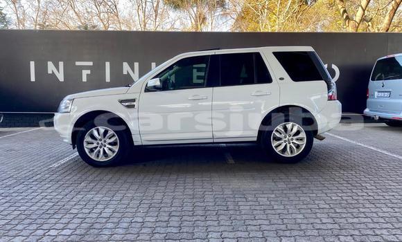 Buy Used Land Rover Freelander White Car in Juba in South Sudan Buy Used Land Rover Freelander White Car in Juba in South Sudan