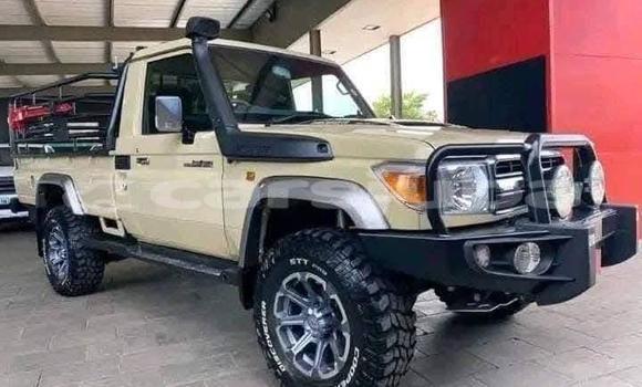 Buy Used Toyota Land Cruiser Beige Car in Gogrial in South Sudan