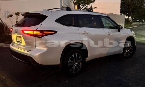 Buy Used Toyota Highlander White Car in Malakal in South Sudan Buy Used Toyota Highlander White Car in Malakal in South Sudan