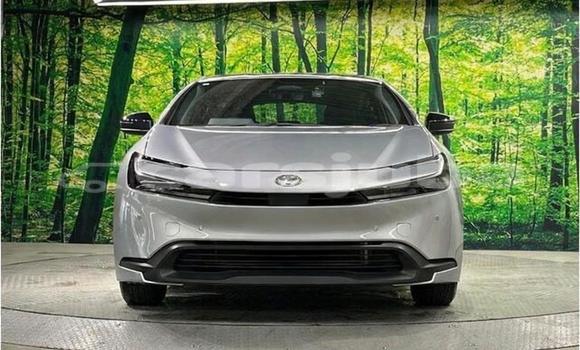 Buy Used Toyota Prius Silver Car in Juba in South Sudan Buy Used Toyota Prius Silver Car in Juba in South Sudan