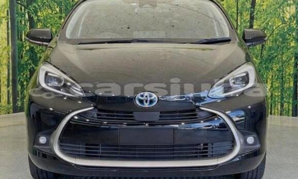 Buy Used Toyota Aqua Silver Car in Malakal in South Sudan