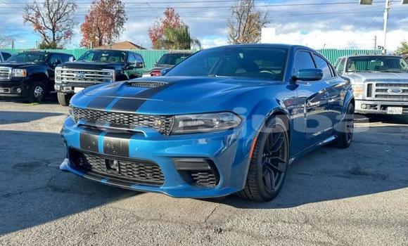 Buy Used Dodge Charger Blue Car in Juba in South Sudan