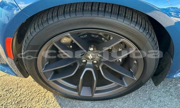 Buy Used Dodge Charger Blue Car in Juba in South Sudan Buy Used Dodge Charger Blue Car in Juba in South Sudan