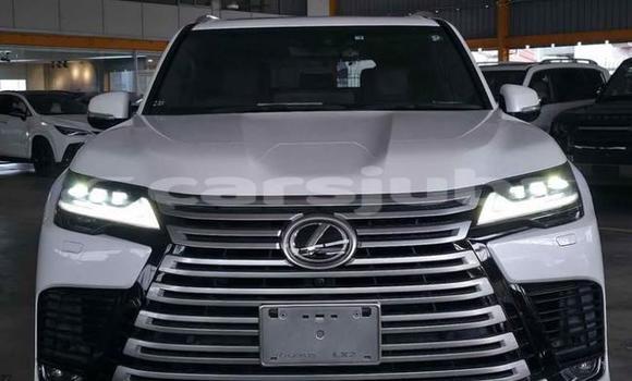 Buy Used Lexus LX White Car in Juba in South Sudan Buy Used Lexus LX White Car in Juba in South Sudan