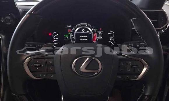 Buy Used Lexus LX White Car in Juba in South Sudan Buy Used Lexus LX White Car in Juba in South Sudan