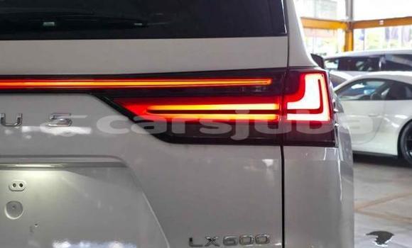 Buy Used Lexus LX White Car in Juba in South Sudan Buy Used Lexus LX White Car in Juba in South Sudan