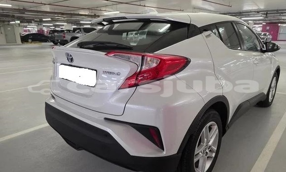 Buy Used Toyota C-HR White Car in Juba in South Sudan Buy Used Toyota C-HR White Car in Juba in South Sudan