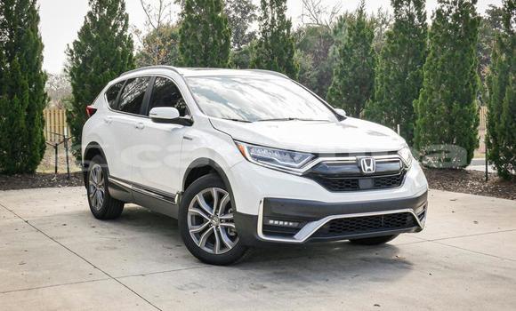 Buy Used Honda CR-V White Car in Juba in South Sudan