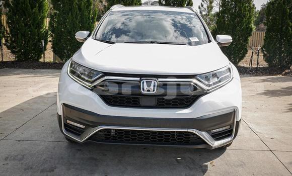 Buy Used Honda CR-V White Car in Juba in South Sudan Buy Used Honda CR-V White Car in Juba in South Sudan