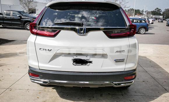 Buy Used Honda CR-V White Car in Juba in South Sudan Buy Used Honda CR-V White Car in Juba in South Sudan