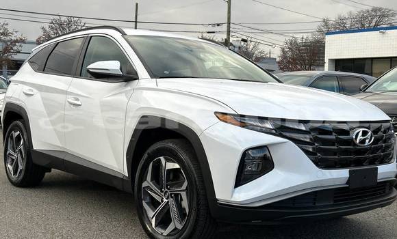 Buy Used Hyundai Tucson White Car in Juba in South Sudan