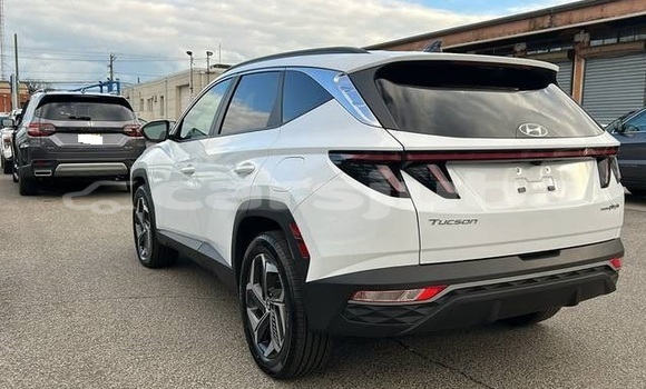 Buy Used Hyundai Tucson White Car in Juba in South Sudan Buy Used Hyundai Tucson White Car in Juba in South Sudan