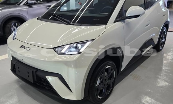 Nunua Ilio tumika BYD S6 White Gari ndani ya Juba nchini South Sudan