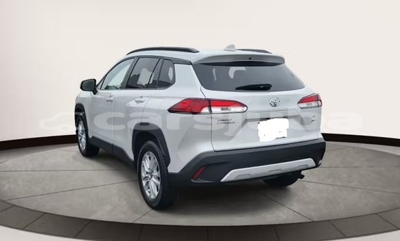 Buy Used Toyota Corolla Cross White Car in Juba in South Sudan Buy Used Toyota Corolla Cross White Car in Juba in South Sudan