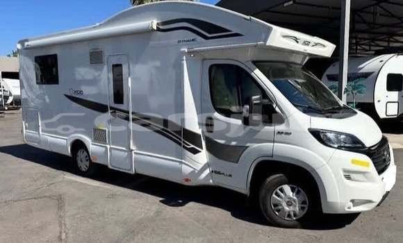 Buy Used Fiat Ulysse White Car in Juba in South Sudan