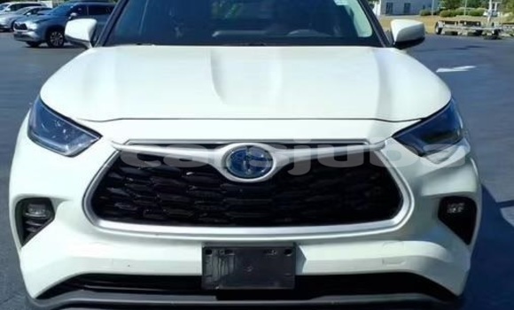 Buy Used Toyota Highlander White Car in Juba in South Sudan