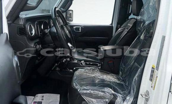 Buy Used Jeep Wrangler White Car in Juba in South Sudan Buy Used Jeep Wrangler White Car in Juba in South Sudan