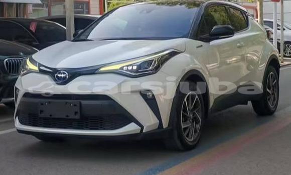 Buy Used Toyota C-HR White Car in Juba in South Sudan
