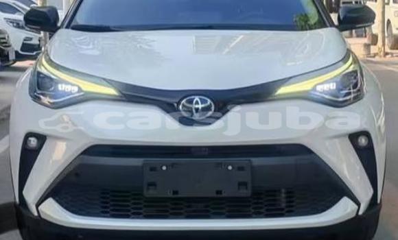 اشتري مستعمل Toyota C-HR White سيارة في Juba في South Sudan اشتري مستعمل Toyota C-HR White سيارة في Juba في South Sudan