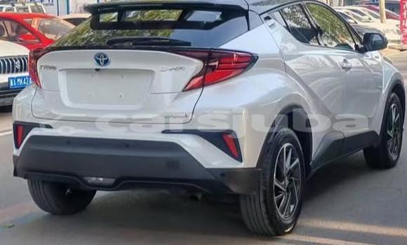 اشتري مستعمل Toyota C-HR White سيارة في Juba في South Sudan اشتري مستعمل Toyota C-HR White سيارة في Juba في South Sudan