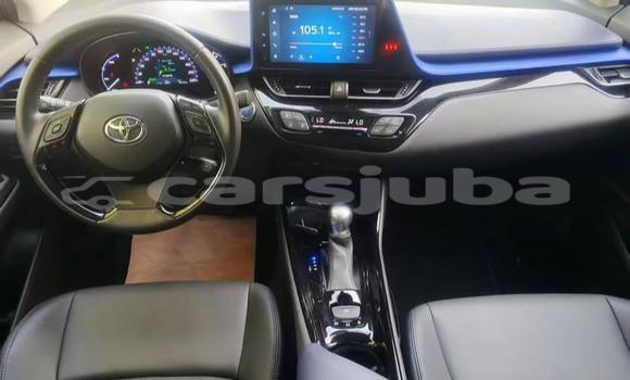 اشتري مستعمل Toyota C-HR White سيارة في Juba في South Sudan اشتري مستعمل Toyota C-HR White سيارة في Juba في South Sudan